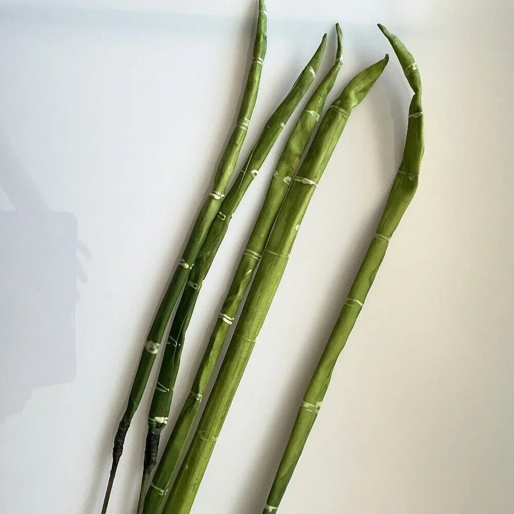 BAMBOO WITH DETACABLE POLES TALL CRAFT DIY BUNDLE ARTIFICAL (FLAWS)